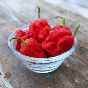 Armageddon Chilli