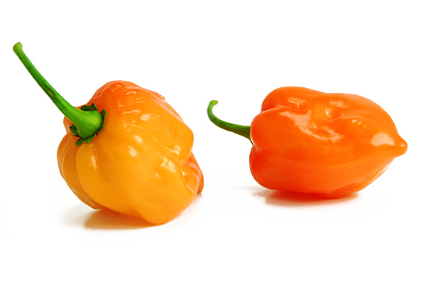 Habanero orange store